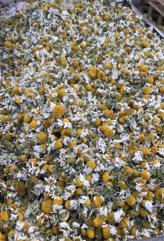 Flavour so good you’ll try to eat with your eyes.