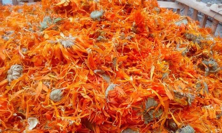 Flavour so good you’ll try to eat with your eyes.