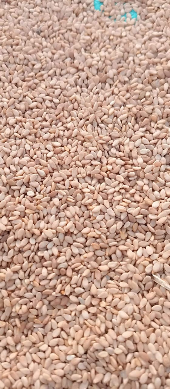 Flavour so good you’ll try to eat with your eyes.